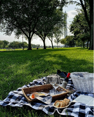 Photo of the hotel Sofitel Washington DC Lafayette Square: Sofitel picnic 3