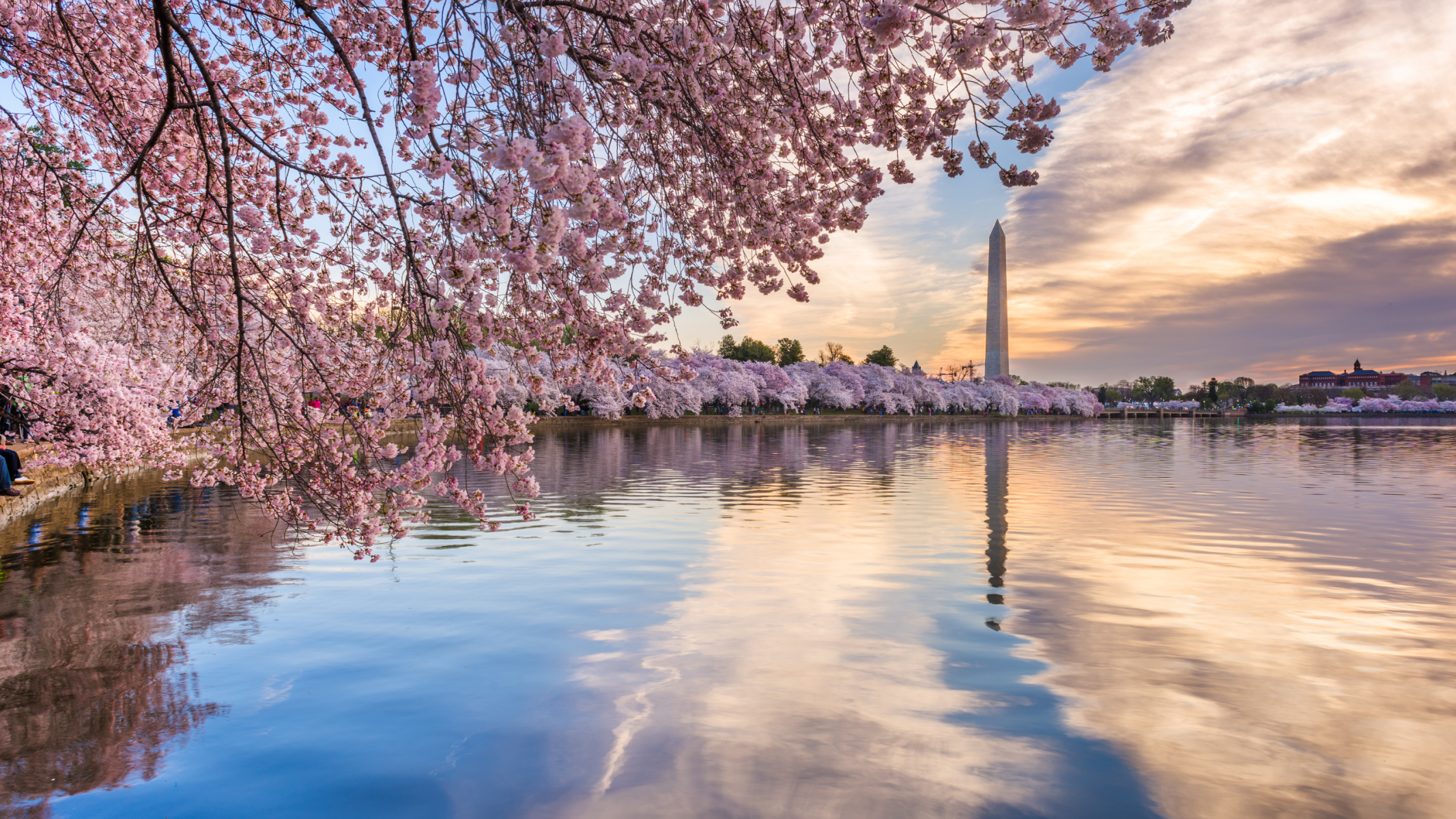 Photo of the hotel Sofitel Washington DC Lafayette Square: 11