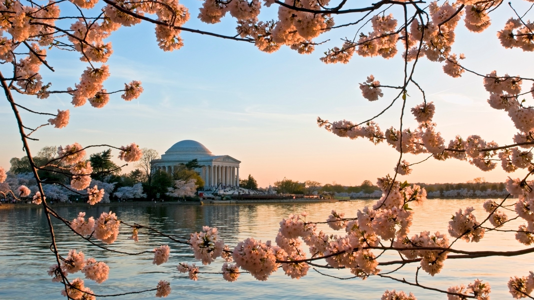 Photo of the hotel Sofitel Washington DC Lafayette Square: Cherry blossom festival washington1